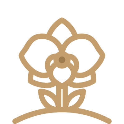 時令探索