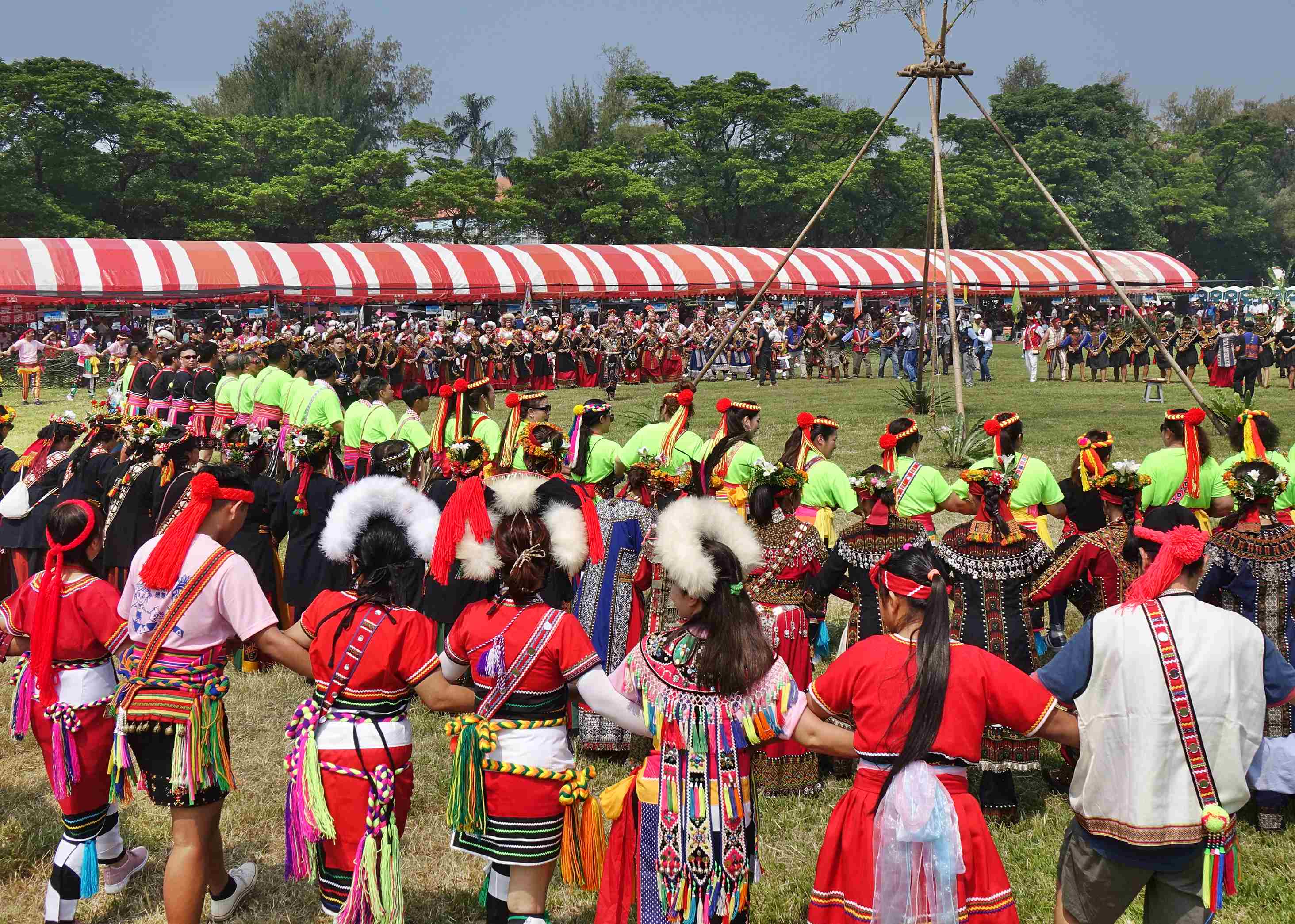 穿著鮮豔傳統服飾、戴羽毛頭飾的台灣原住民青年手牽手參加遊行舞蹈，展現豐收節氣氛